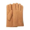 UGG Ultimate Gloves 1 UGG Ultimate Gloves -Chic Clothing Store C2 6658f949 14b0 4284 a2ee 4d42b1eafedb