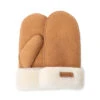 UGG Ultimate Fluffy Mitten Gloves -Chic Clothing Store c1 05bfd0dc 54e9 4926 80cb b44987c80e17