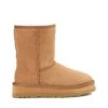 UGG Platform Classic Short Boots 2 UGG Platform Classic Short Boots -Chic Clothing Store ugg platform classic short boots 202027